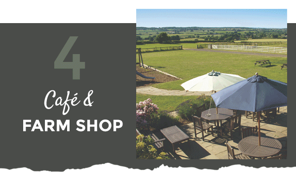 4. Cafe & Farm Shop